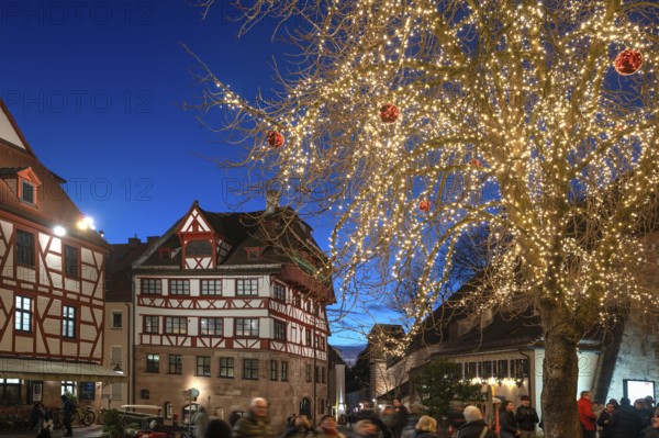 The historic Dürerhaus, Christmass-lit tree on the right, Beim Tiergärtnertor, Nuremberg, Middle Franconia, Bavaria, Germany