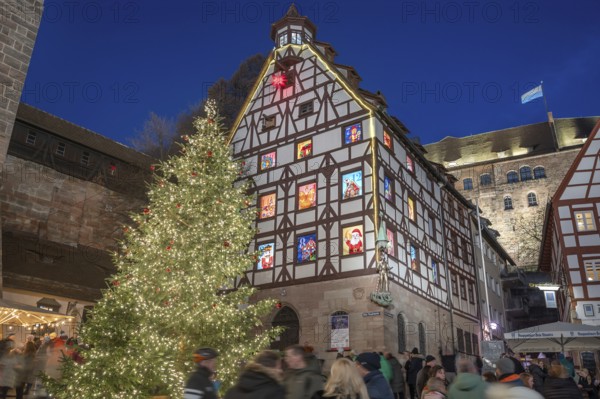 Illuminated Christmas tree with the historic Pilate House with advent calendar, in the evening lighting, the Kaiserburg in the back, Beim Tiergärtnertor, Nuremberg, Middle Franconia, Bavaria, Germany
