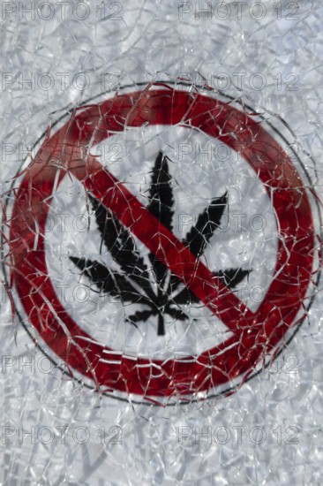 Behind a shattered glass panel of a catering establishment in Frankfurt am Main is a sign that the use of cannabis is prohibited there, Frankfurt am Main, Hesse, Germany