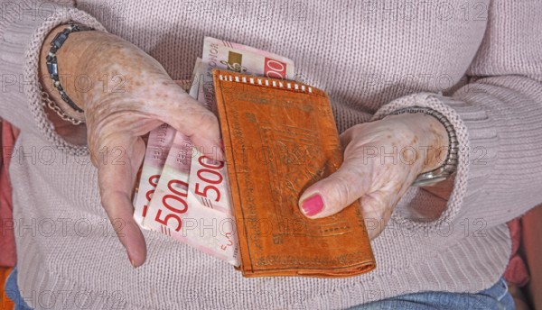 An elderly woman's hands take out Swedish banknotes from a wallet