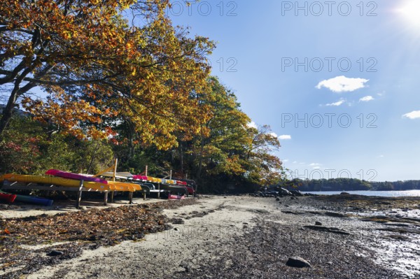Wooded coastline, rocky beach, low tide, colorful kayaks on wooden frame, Indian summer, blue sky, campground, sustainable farm in Freeport, Wolfe's Neck Center, Maine, New England, USA