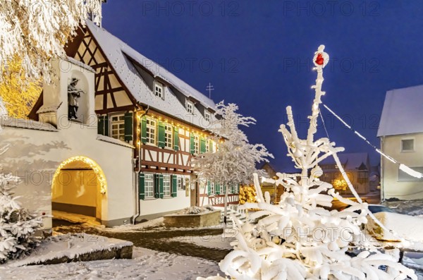 The old town hall in Westerheim in winter. The half-timbered building now houses the guest's house. Christmas tree with hoarfrost Westerheim, Alb-Danube District, Baden-Württemberg, Germany