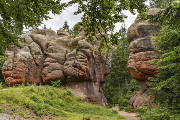 Kelchsteine natural monument near Oybin, Zittau Mountains, Upper Lusatia, Saxony, Germany