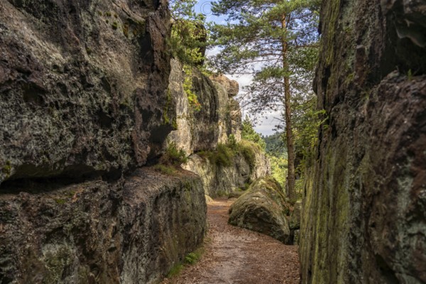 Mühlsteinbrüche hiking area near Jonsdorf in the Zittau Mountains, Upper Lusatia, Saxony, Germany