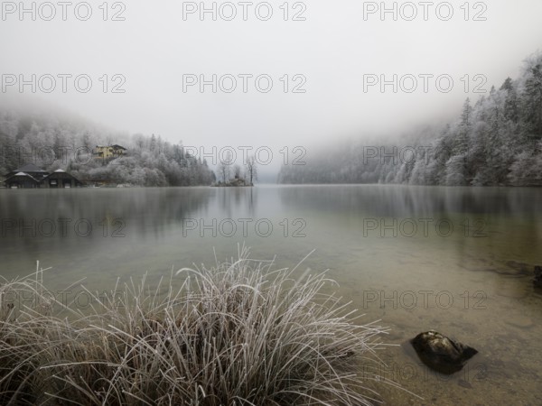View across Königssee to boathouses, Christlieger island and frozen trees in fog, Schönau am Königssee, Berchtesgadener Land, Upper Bavaria, Bavaria, Germany