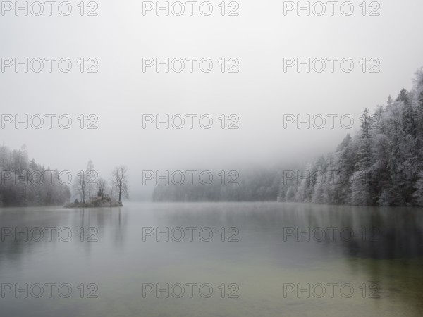 View across Königssee to Christlieger Island and frozen trees in fog, Schönau am Königssee, Berchtesgadener Land, Upper Bavaria, Bavaria, Germany