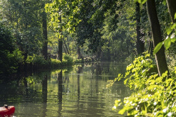 Canal or Spreewaldfließ in the Spreewald near Spreewalddorf Lehde, Lübbenau/Spreewald, Brandenburg, Germany