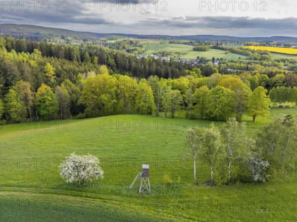 Aerial view, drone photo: Green landscape with trees, raised stand and blooming cherry tree, Rützengrün, Jakobsweg Silberberg, Vogtland, Saxony, Germany