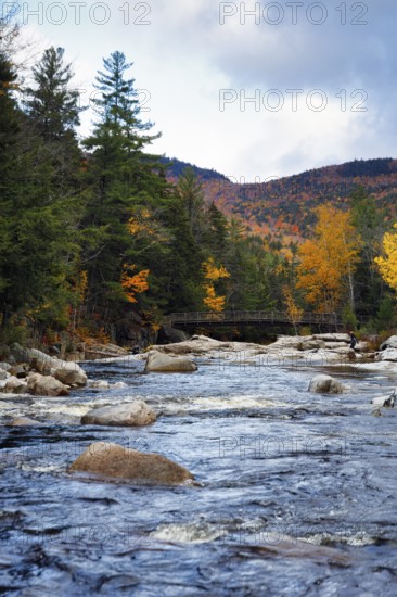 Rapids, Rocky Gorge, Swift River, picturesque riverscape near Albany, autumn leaves, Indian Summer, White Mountain National Forest, Kancamagus Highway, New Hampshire, New England, USA