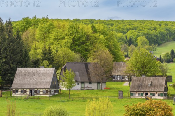 Historic houses with half-timbered timber and shingles under trees in the Seiffen open-air museum, Ore Mountains, Saxony, Germany