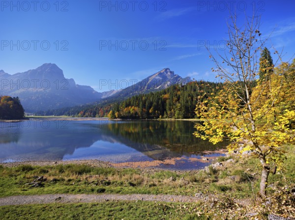 Autumn-colored forest is reflected in Obersee, Näfels, Canton of Glarus, Switzerland