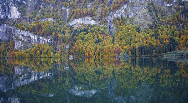 Autumn-colored forest is reflected in Lake Klöntal, Canton of Glarus, Switzerland