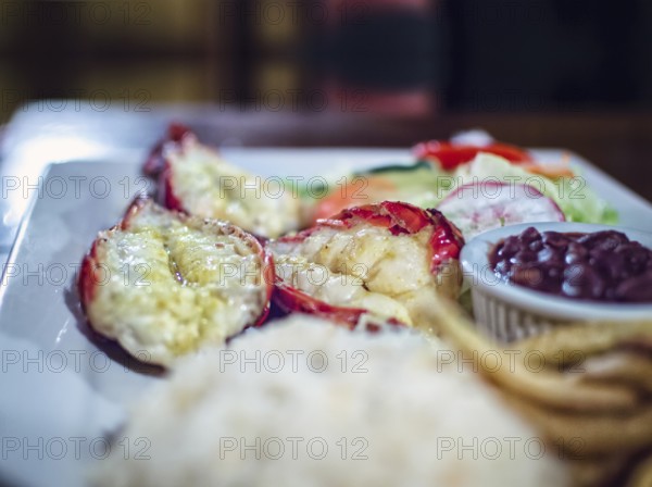 Plate of breaded shrimp with rice on the table with COPY SPACE, menu of breaded shrimp served on wooden table