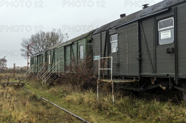 Old ice railway wagons at the former Bresewitz station, near Zingst, Mecklenburg-Western Pomerania, Germany