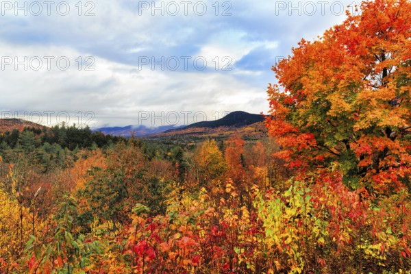 Scenic View, Panoramic View, Fall Leaves, Indian Summer, Fall Weather, Sugar Hill Observation Deck, Kancamagus Highway, White Mountain, New Hampshire, New England, USA