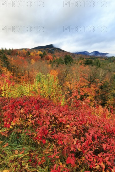 Scenic View, Fall Leaves, Indian Summer, Sugar Hill Observation Deck, Kancamagus Highway, White Mountain, New Hampshire, New England, USA