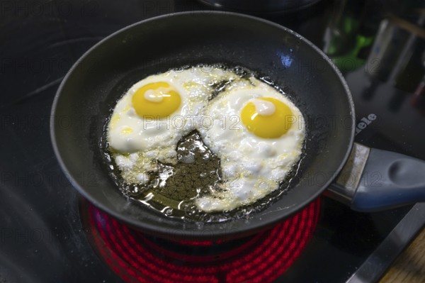 Two fried eggs in a pan on the stove, Bavaria, Germany