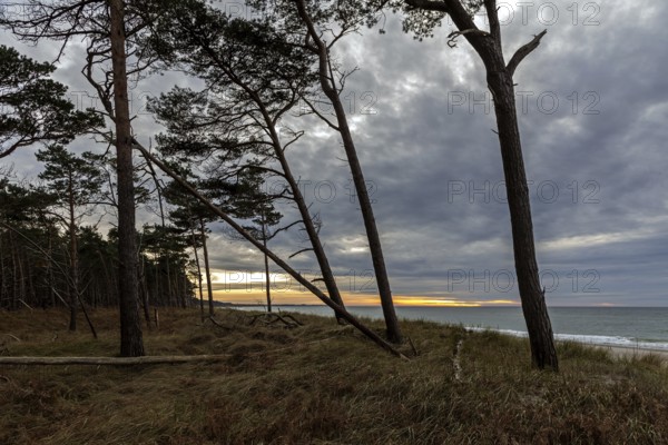 Evening light, sunset, Weststrand Darß, Baltic Sea, Fischland-Darß-Zingst, Western Pomerania Lagoon Area National Park, Mecklenburg-Western Pomerania, Germany