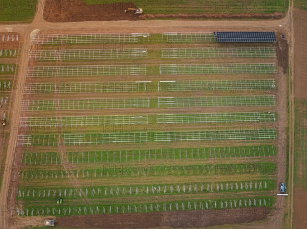 Aerial view of a solar plant on green fields with visible technical structures, energy transition, construction of PV open space, Baden-Württemberg, Germany
