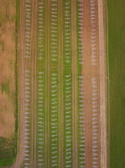 Aerial view of an agricultural field with evenly distributed solar racks in rows, energy transition, construction of PV open space, Baden-Württemberg, Germany
