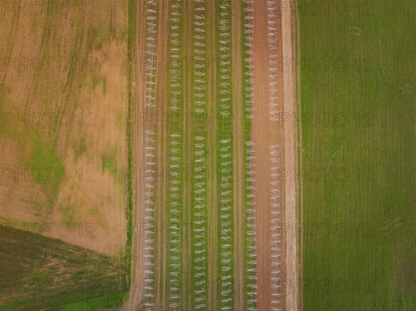 Aerial view showing fields in regular patterns with solar racks and arable land, energy transition, construction of PV open space, Baden-Württemberg, Germany