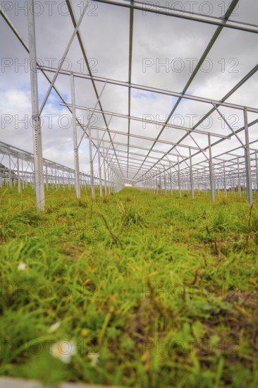 A row of metal frames stretches on a green field under cloudy sky, Energiewende, construction of PV open space, Baden-Württemberg, Germany