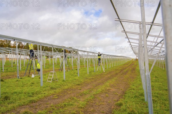 Workers assemble metal structures on a construction site in a grassy field, Energiewende, construction of PV open space, Baden-Württemberg, Germany