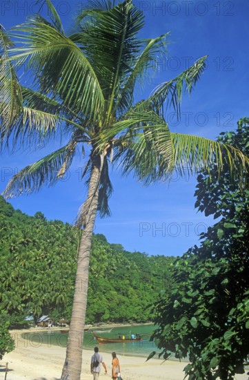 People, palm tree on the beach of Ko Phi Phi Don, two years in front of the tsunami, Thailand, December 2002, vintage, retro, old, historic