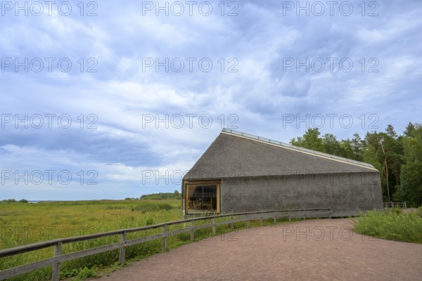 Naturum Nature Conservation Information Center at Vogelsee Tåkern, modern building with pitched roof made entirely of reed thatch next to a large reed tree, Tåkern, Vadstena, Östergötalands Län, Sweden