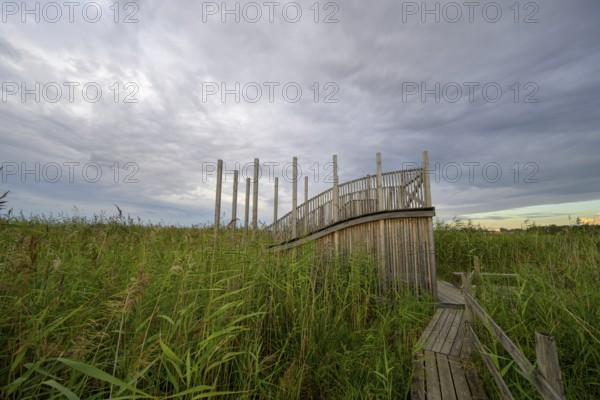 Wooden viewing platform with a view of extensive reeds under cloudy sky, Tåkern, Vadstena, Östergötalands Län, Sweden