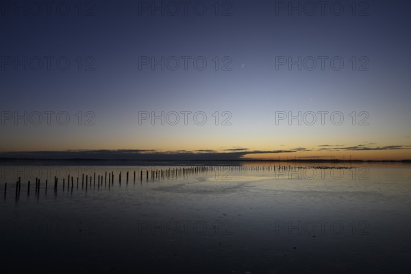 Row of posts over calm water at dusk, deep blue tones, wooden posts, boat dock posts run into the water at sunset, quiet atmosphere, Dümmer See, Lembruch, Lower Saxony, Germany