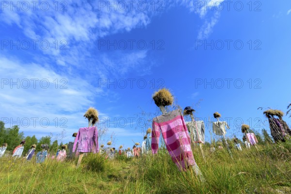 Artwork outdoor installation The silent people of Reijo Kela Straw dolls wear colorful clothes in a field at the edge of the forest, Suomussalmi, Kainuu, Finland