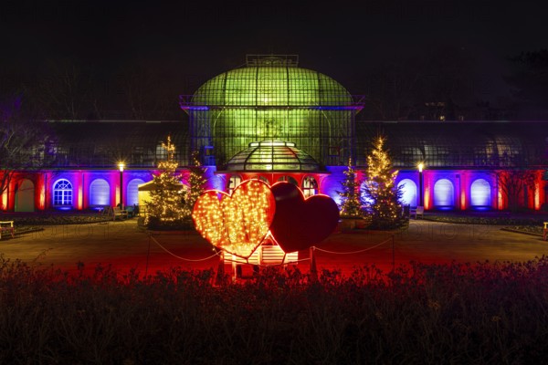 From November 29, 2025 to January 11, 2026, the palm garden and its partner World of Lights illuminate the garden with hundreds of lights, creating a unique atmosphere. During this time, it shimmers brightly between the trees in the flower beds and artistic motifs and spectacular light projections shine in the meadows and at the showhouses, palm garden, Frankfurt am Main, Hesse, Germany