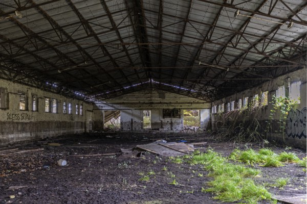 Abandoned hall with Grafity, dilapidated plant of a former agricultural production cooperative of the former GDR, LPG, Lost Place, Müggenburg, Fischland-Darß-Zingst, Western Pomerania National Park, Mecklenburg-Western Pomerania, Germany