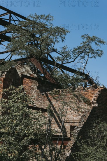 Ruins of the Women's Sanatorium, Lost Place, Heilstätten Beelitz, Brandenburg