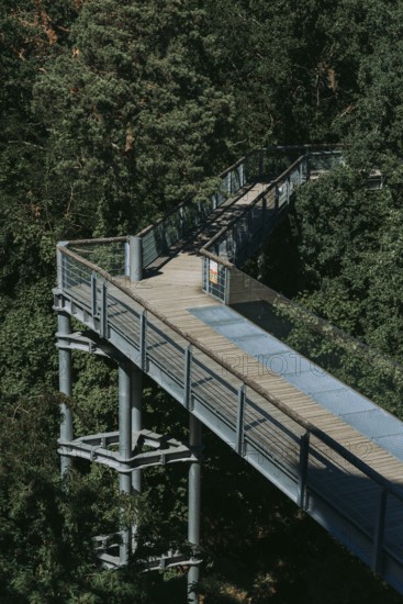 Lost Place, Treetop Trail of the Beelitz Heilstätten, Brandenburg