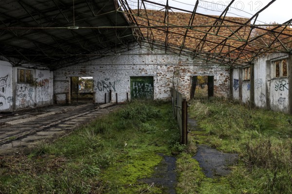 Former hall, dilapidated plant of a former agricultural production cooperative of the former GDR, LPG, Lost Place, Müggenburg, Fischland-Darss-Zingst, Western Pomerania Lagoon Area National Park, Mecklenburg-Western Pomerania, Germany