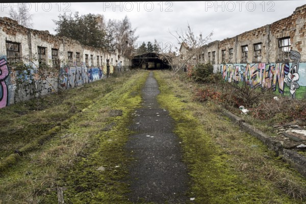 Dilapidated halls with gravity of the dilapidated plant of a former agricultural production cooperative of the former GDR, LPG, Lost Place, Müggenburg, Fischland-Darß-Zingst, Western Pomerania National Park, Mecklenburg-Western Pomerania, Germany