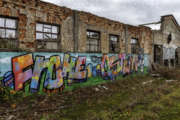 Dilapidated hall with gravity of the dilapidated plant of a former agricultural production cooperative of the former GDR, LPG, Lost Place, Müggenburg, Fischland-Darß-Zingst, Western Pomerania National Park, Mecklenburg-Western Pomerania, Germany