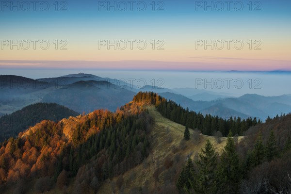 View from Belchen, morning mood with fog in autumn, sunrise, Belchen, Black Forest, Southern Black Forest, Baden-Württemberg, Germany