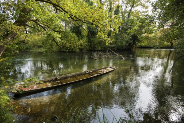 Altrhein, Rhine, Taubergießen Nature Reserve, Kappel-Grafenhausen, Ortenau, Baden-Württemberg, Germany