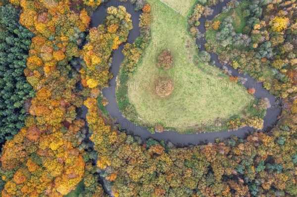 The river Hunte, which surrounds a green island with autumn-colored trees, viewed from the air, drone shot, vertical aerial view, Dötlingen, Wildeshauser Geest, Lower Saxony, Germany