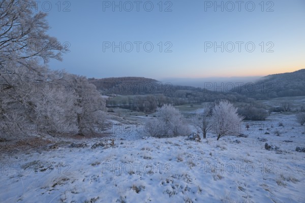 An impressive winter landscape on Randecker Maar near Ochsenwang, where a mystical sea of fog covers the surrounding area. The freezing cold of the morning is reinforced by the snow-covered hills and the soft light. This scene conveys a peaceful, enchanted atmosphere and shows the quiet beauty of nature in winter