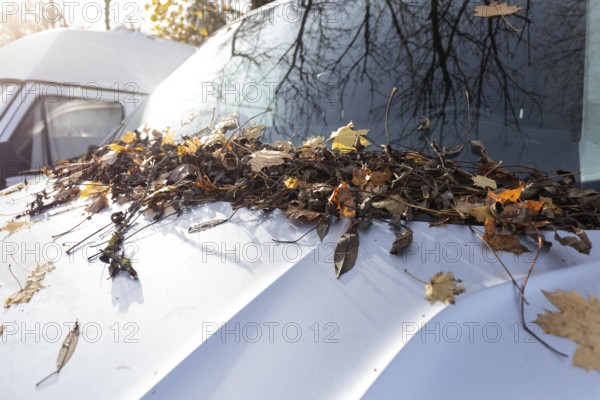 A car parked in a parking lot in Germany is completely covered with autumn leaves at the front. The windshield and bonnet are covered with colorful, fallen leaves, which gives the typical impression of a quiet autumn day