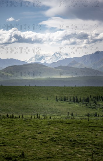 Tundra and glaciated peak of Denali or Mount McKinley, Alaska Range mountainous landscape, Denali National Park, Alaska, USA