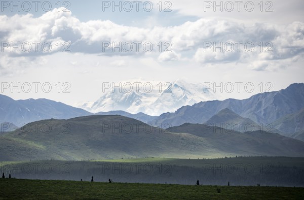 Tundra and glaciated peak of Denali or Mount McKinley, Alaska Range mountainous landscape, Denali National Park, Alaska, USA