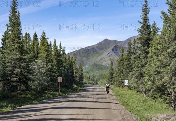 Young woman riding a bicycle on a dirt road through taiga, mountainous landscape, Denali Park Road, Denali National Park and Preserve, Alaska, USA