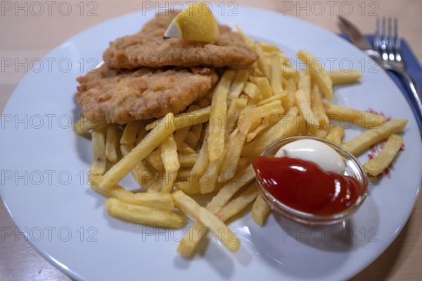 Wiener schnitzel with French fries, ketchup and mayonnaise, Franconia, Bavaria, Germany