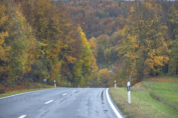 Federal road leads through an autumnal mixed forest, Gräfenberg, Upper Franconia, Bavaria, Germany