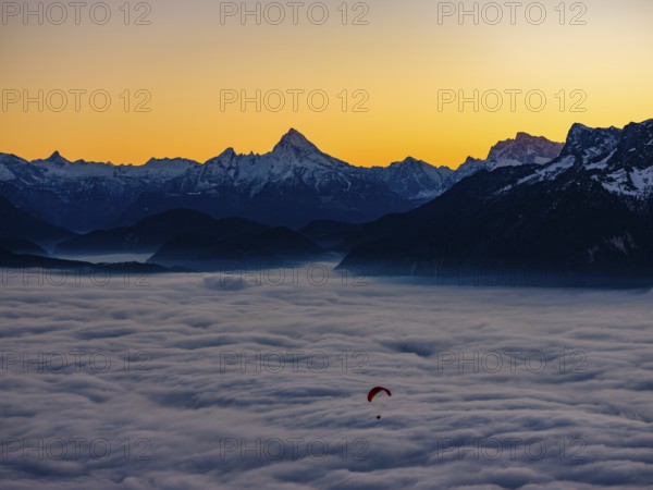 Paragliding flies over a sea of fog, behind Berchtesgaden Alps with Watzmann, Hochkalter and Untersberg, Gaisberg, Salzburg, Salzburger Land, Austria